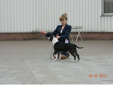 ����������� 375.jpg