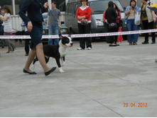 ����������� 376.jpg