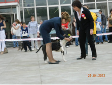 ����������� 377.jpg