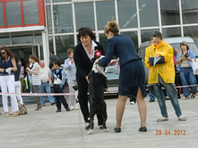 ����������� 378.jpg