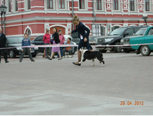 ����������� 379.jpg