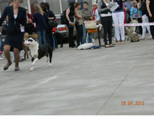 ����������� 380.jpg