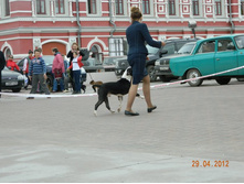 ����������� 381.jpg