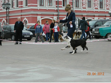 ����������� 382.jpg