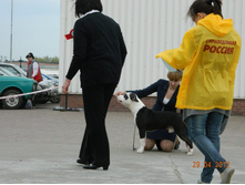 ����������� 383.jpg