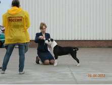 ����������� 384.jpg