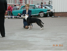 ����������� 386.jpg