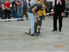 ����������� 387.jpg