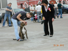 ����������� 388.jpg