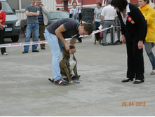 ����������� 389.jpg