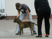 ����������� 390.jpg