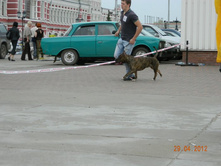 ����������� 391.jpg