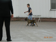 ����������� 392.jpg