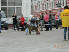 ����������� 393.jpg