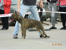 ����������� 394.jpg