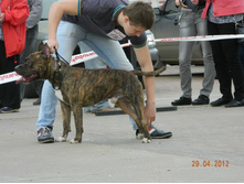 ����������� 395.jpg