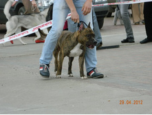 ����������� 396.jpg