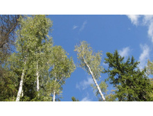 � ���-�� ���� ���!