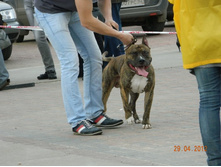 ����������� 397.jpg