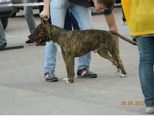 ����������� 398.jpg