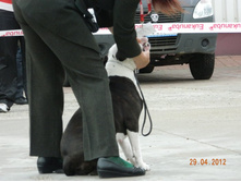 ����������� 400.jpg