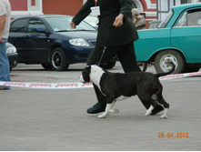 ����������� 402.jpg