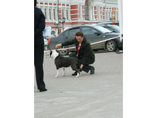 ����������� 404.jpg