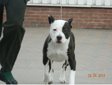 ����������� 407.jpg