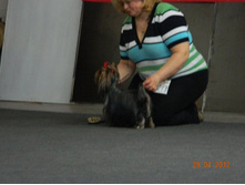 ����������� 409.jpg