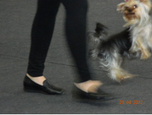 ����������� 410.jpg