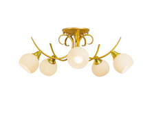 ������ 2008,95�.