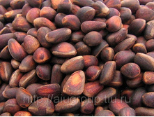 ���� �������� ��������� 1��.