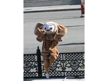 ������� ������