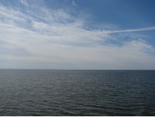 ����� ����