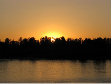 �� ������