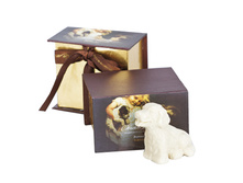 ���� ������ ����.jpg