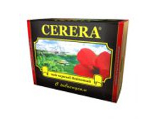 ������ � ����������