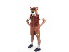 ����������  290