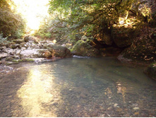 ����� �� ���� ��������.... ��������� �������� !