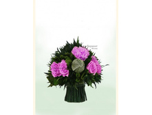 V07-01518.jpg - 2800+%