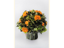 V05-16115.jpg - 1330+%