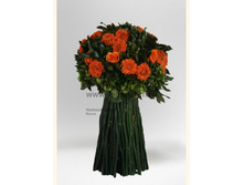 V05-16015.jpg - 1750+%