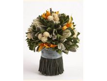 V05-13415.jpg - 1400+%