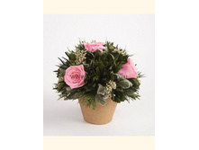 V03-4462.jpg - 1530+%