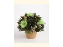 V03-4425.jpg - 1540+%