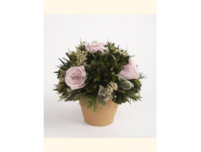 V03-4418.jpg - 1540+%