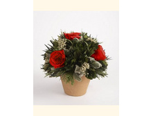 V03-4416.jpg - 1540+%