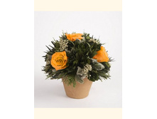 V03-4415.jpg - 1540+%