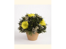 V03-4413.jpg - 1540+%