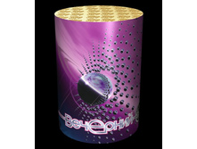 �������� 1 005,36�.